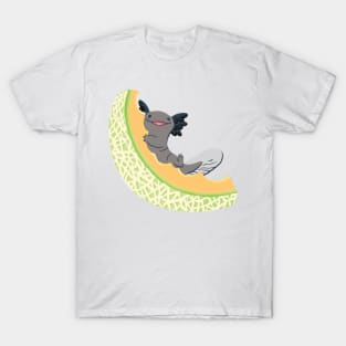 Snaxy Rox T-Shirt